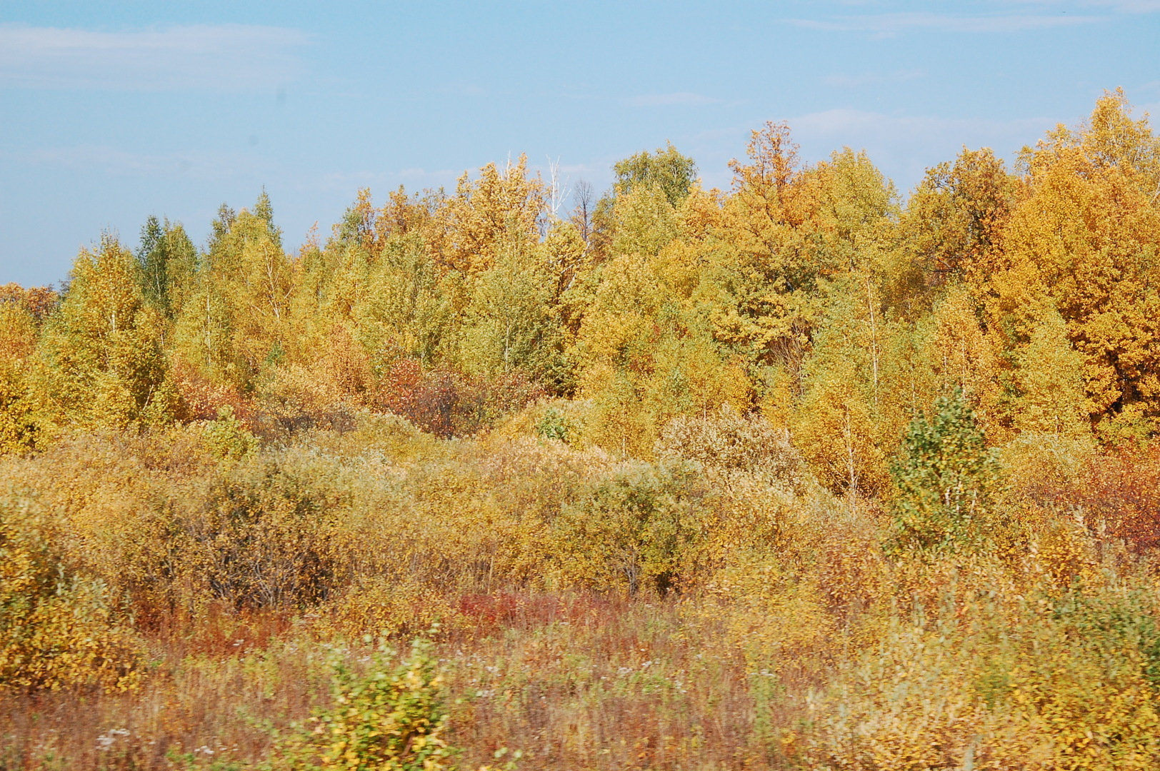 БОЛЬШОЕ ПУТЕШЕСТВИЕ Новокузнецк - Ставрополь