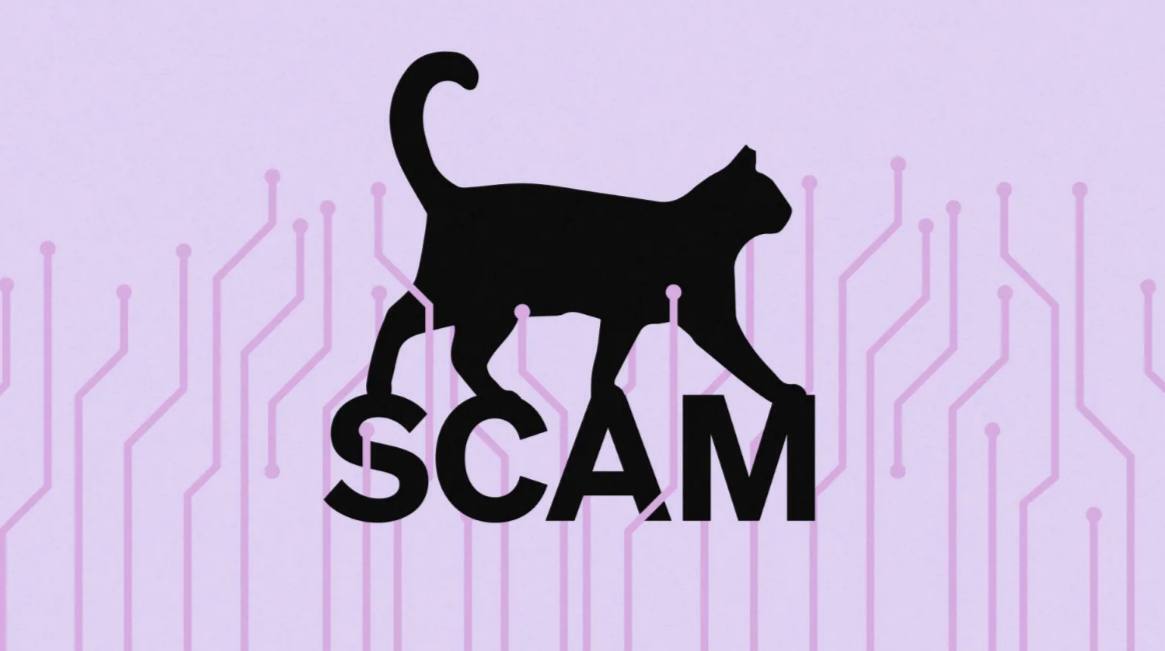 Жительницу Гонконга обманули на 0.000 в криптовалюте, за кошку!