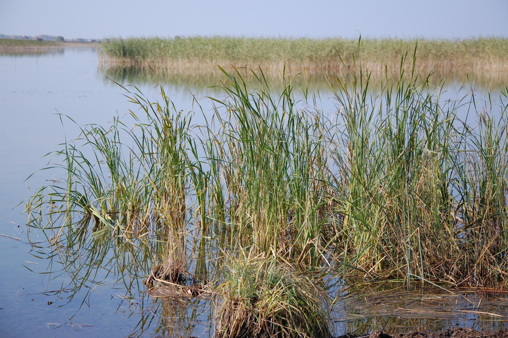БОЛЬШОЕ ПУТЕШЕСТВИЕ Новокузнецк - Ставрополь
