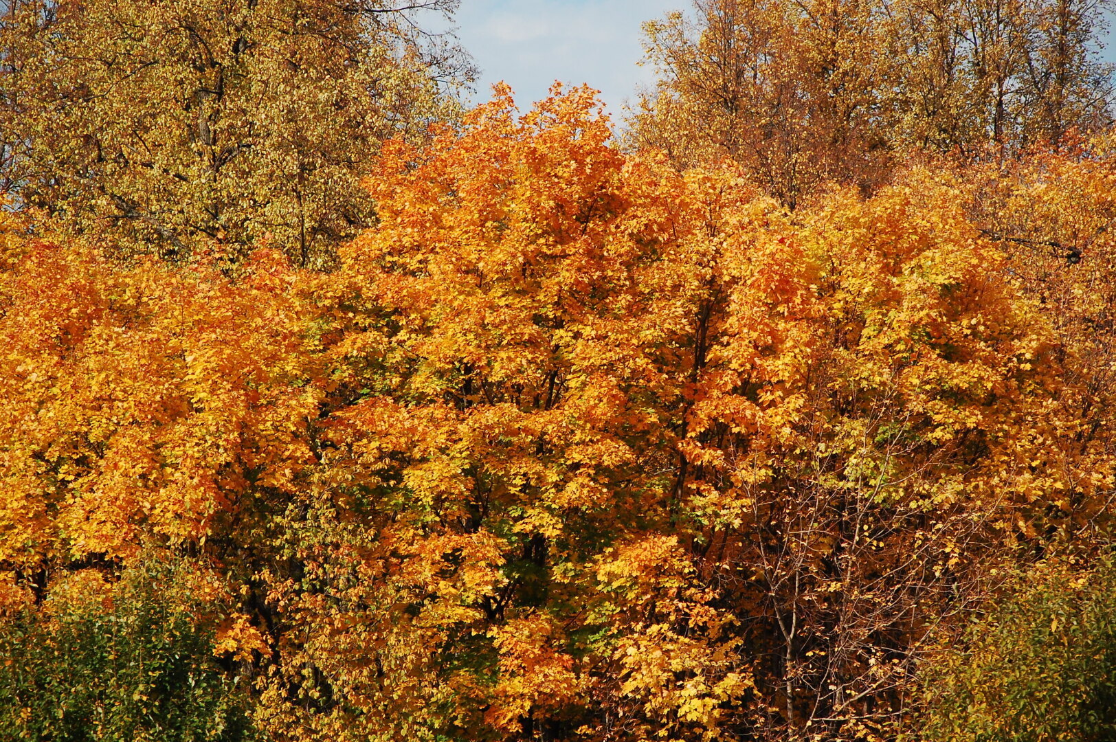 БОЛЬШОЕ ПУТЕШЕСТВИЕ Новокузнецк - Ставрополь