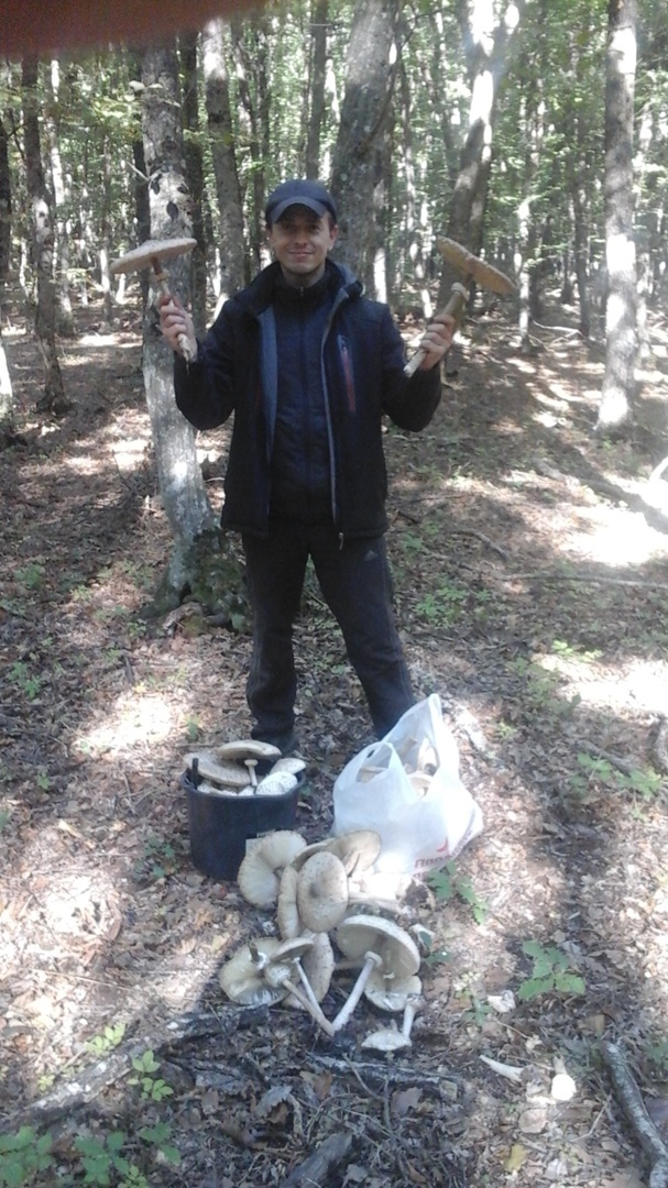 Советы любителям грибной охоты