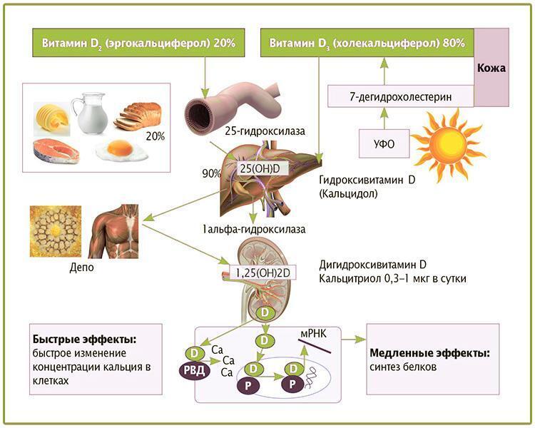 Зажги свою жизнь: Как преодолеть "предвесенний блюз"?