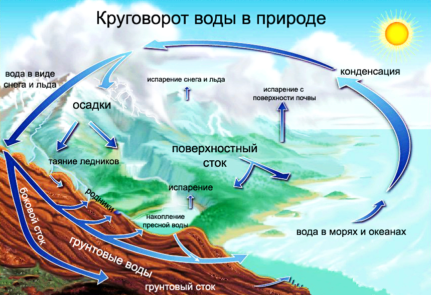 Какими буквами на схеме круговорота воды отмечены