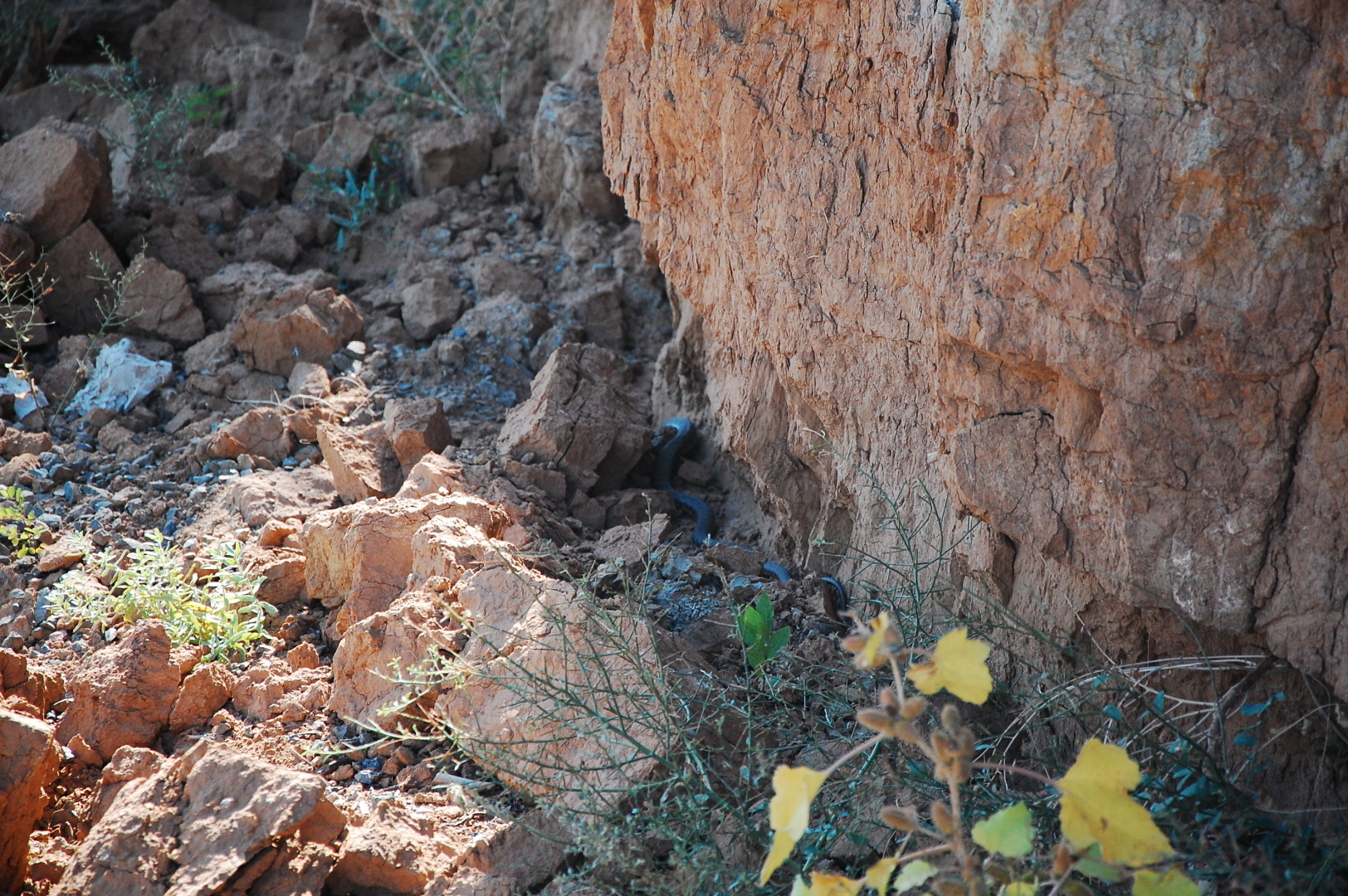 БОЛЬШОЕ ПУТЕШЕСТВИЕ Новокузнецк - Ставрополь