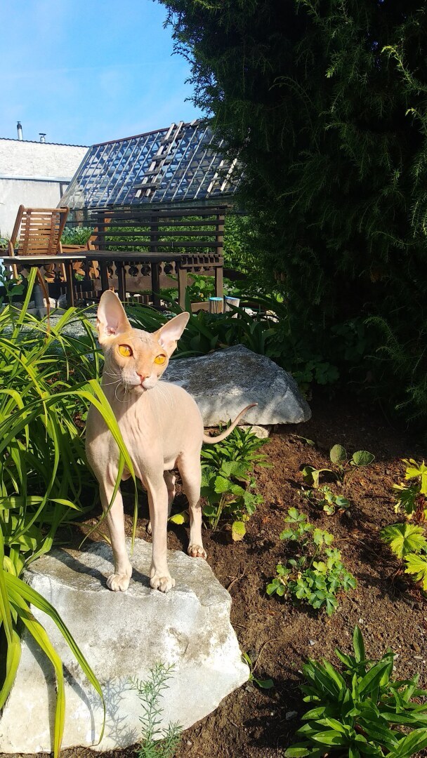 "Страшно" красивый Фреддик