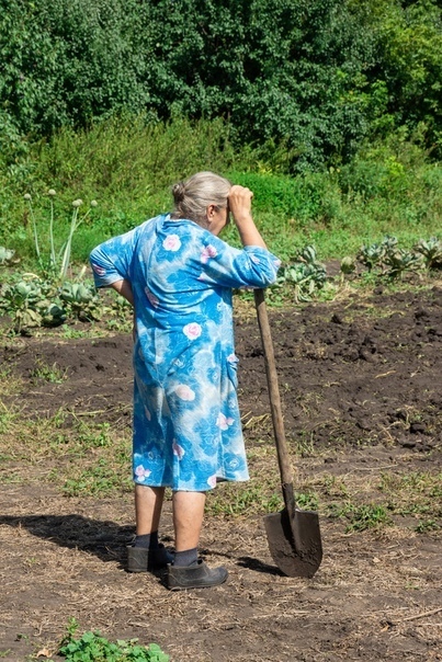 "Как "впрягусь в плуг" весной, так и буду пахать... " Одна из актуальных проблем "отцов и детей" – садово-огородная