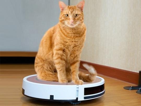 Робот пылесосы. Стоит ли переплачивать?