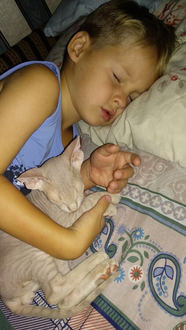 "Страшно" красивый Фреддик