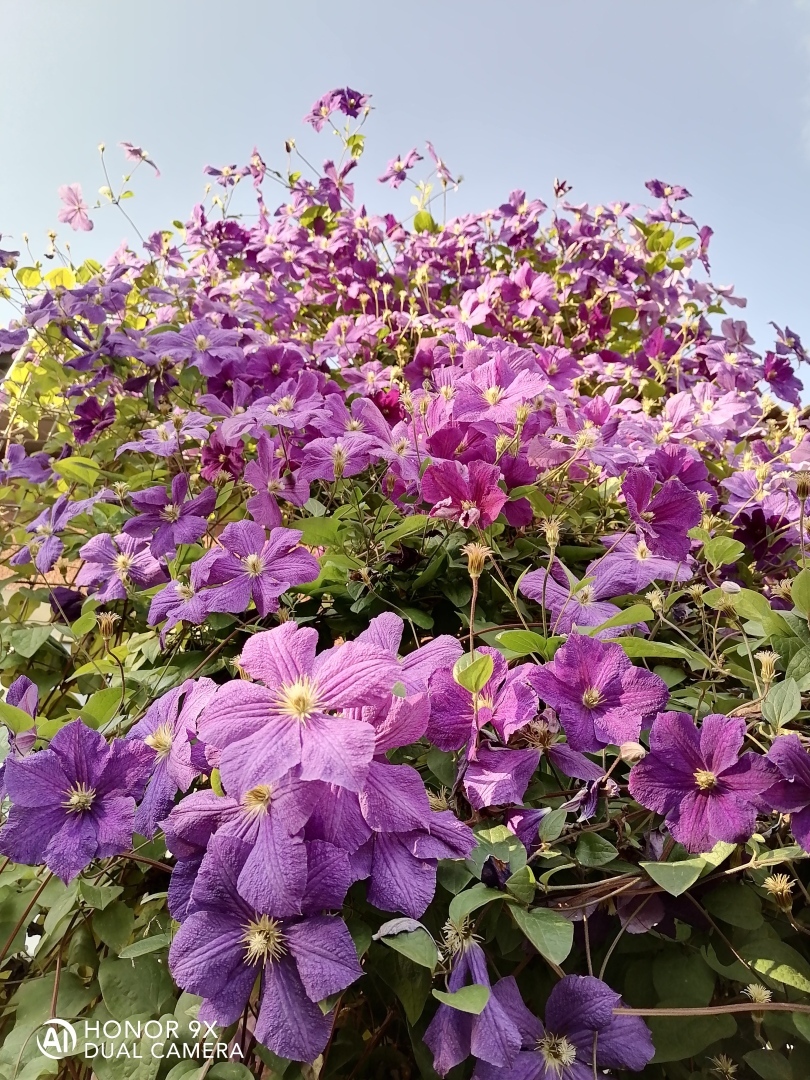 Мусор переработать в удобрения !