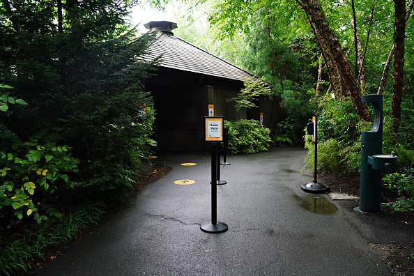 Сова Флако стала мгновенной птичьей знаменитостью после побега из Центрального парка