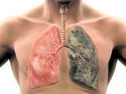 Вред табако-курения на организм. Разберём по-детальнее