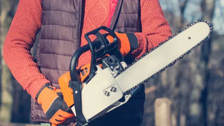 Самые странные законы Америки включают правила, запрещающие одеваться монахинями, есть лягушек и многое другое.