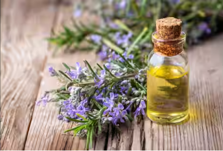 Супер трава: польза розмариновой воды для отличных волос