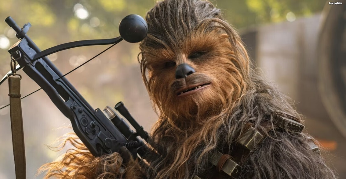 Памятные вещи покойного актера Чубакки из "Звездных войн" переданы с аукциона Фонду Питера Мэйхью