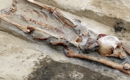 Топ 10 фактов про археологию. Часть 1