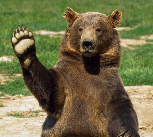 Топ 10 фактов про археологию. Часть 1