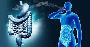 Вред табако-курения на организм. Разберём по-детальнее