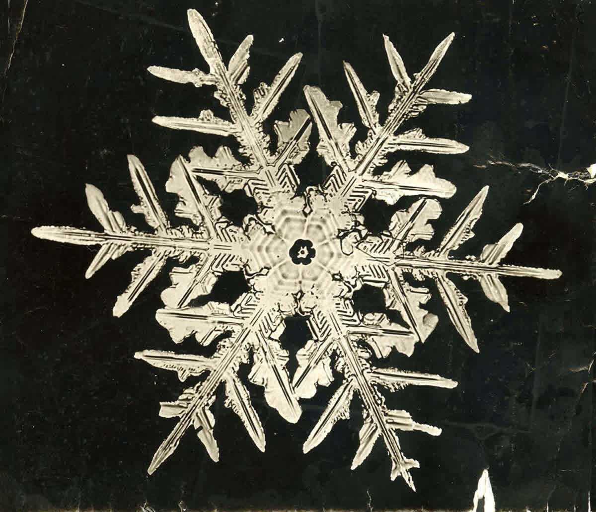 Как фермер из Вермонта доказал, что снежинки не похожи