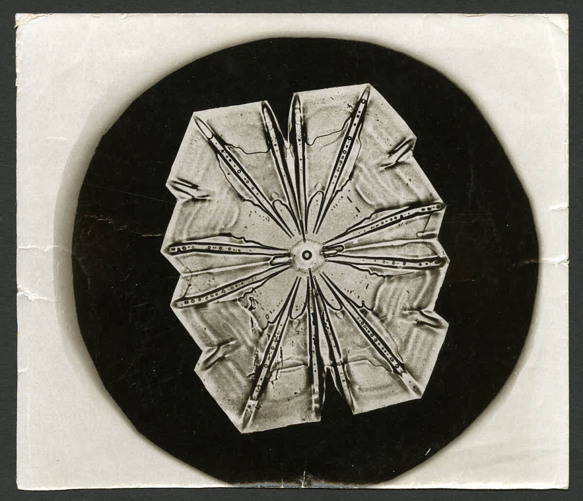 Как фермер из Вермонта доказал, что снежинки не похожи