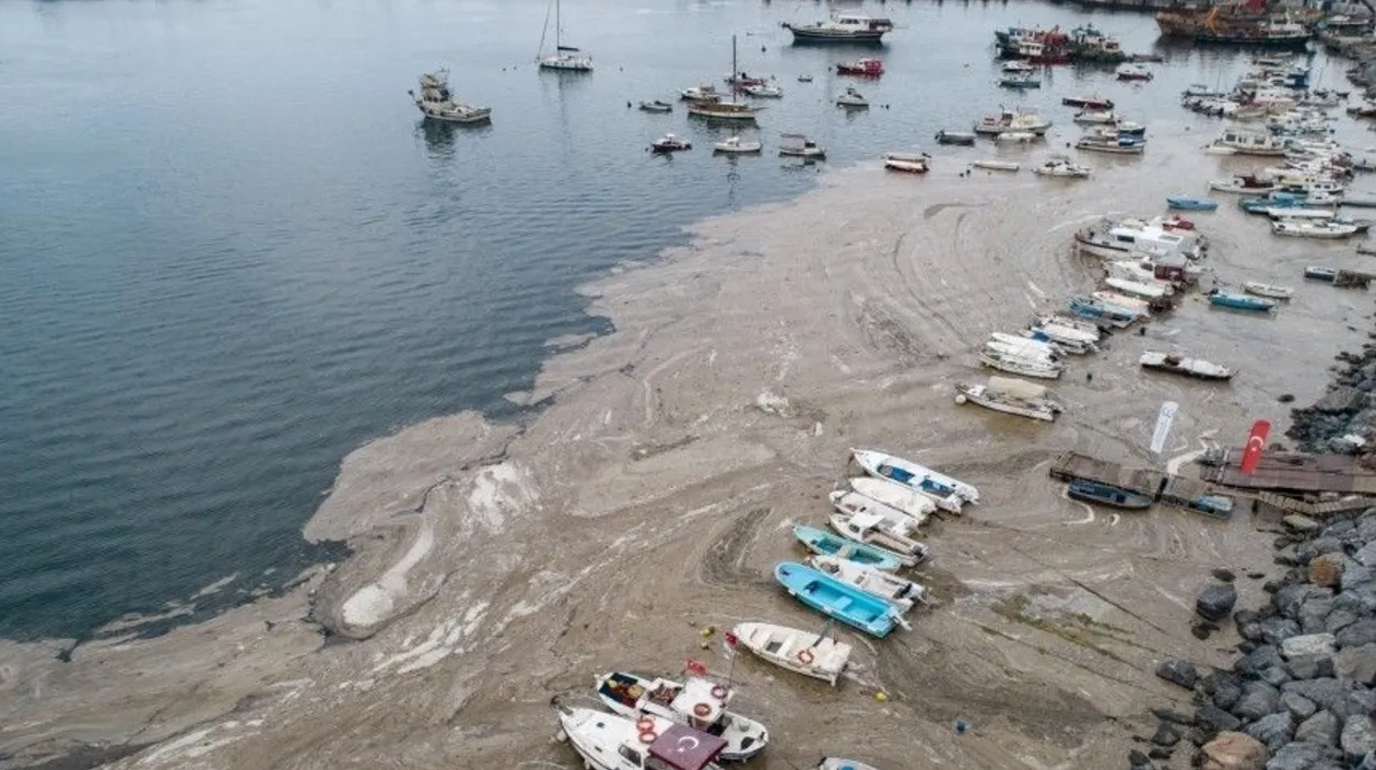 ЦУНАМИ В Турции 2023. Мраморное море. Море в Турции после землетрясения. ЦУНАМИ В Турции.