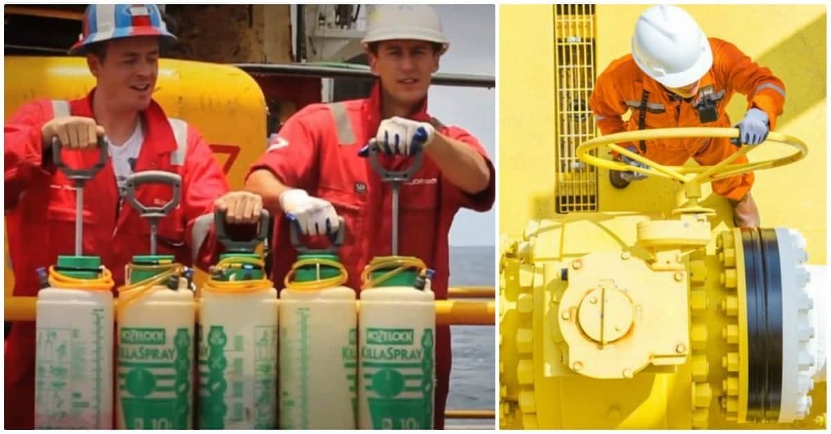 Она Изменила Ему, И Он Превратил Ее Важный День В Худший День В Ее Жизни