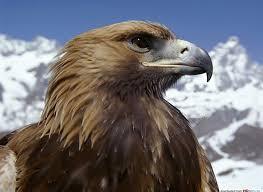 Традиционно русская неделя с 21 числа до конца Июня