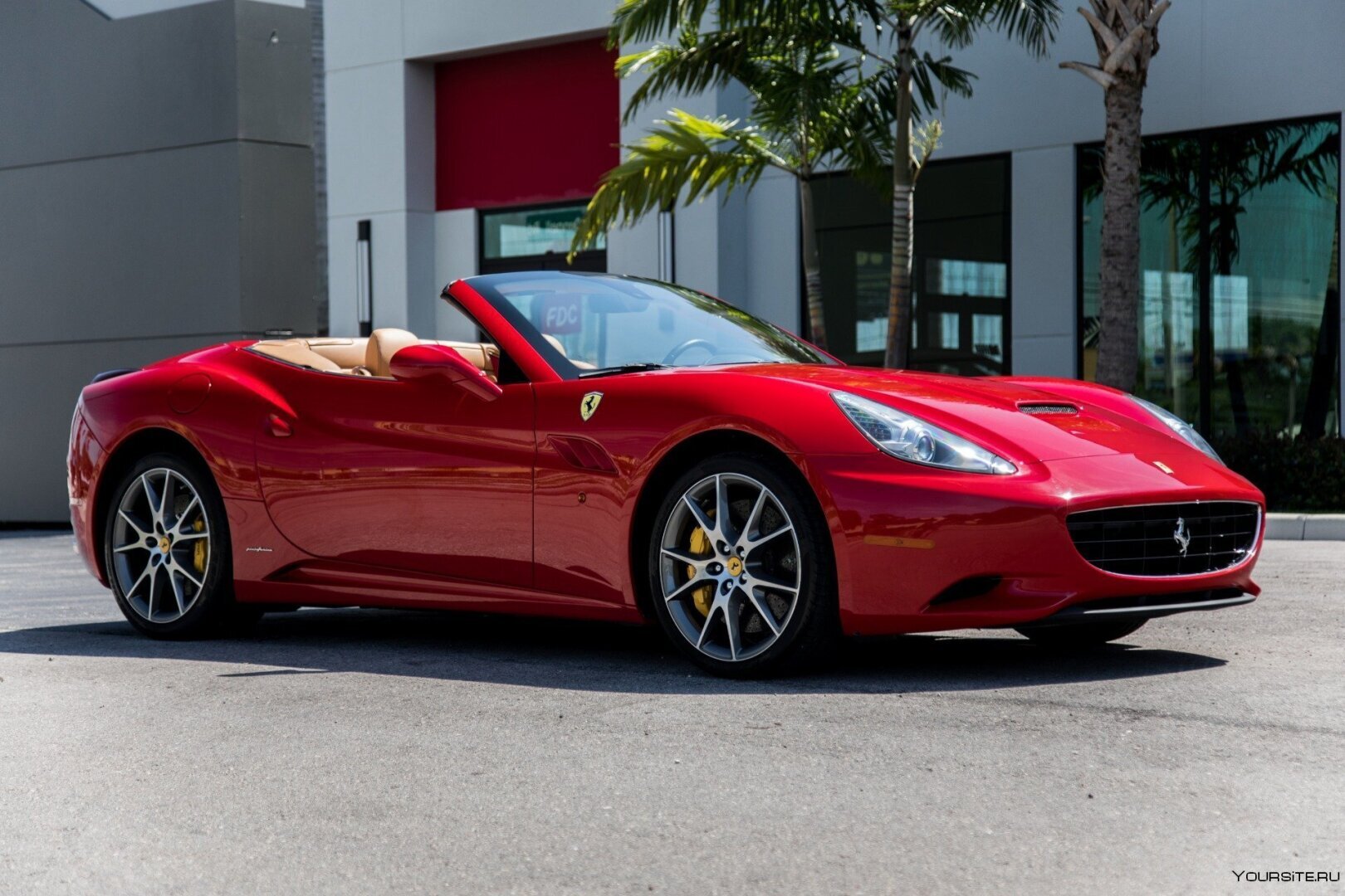 История о собаке, которая купила себе кабриолет.