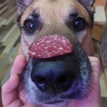 Хрущев Н С, г. Петропавловск-Камчатский