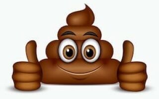 Откуда взялся смайлик какашка)