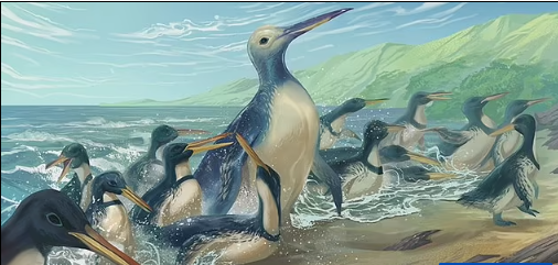 Вот это большая птица!