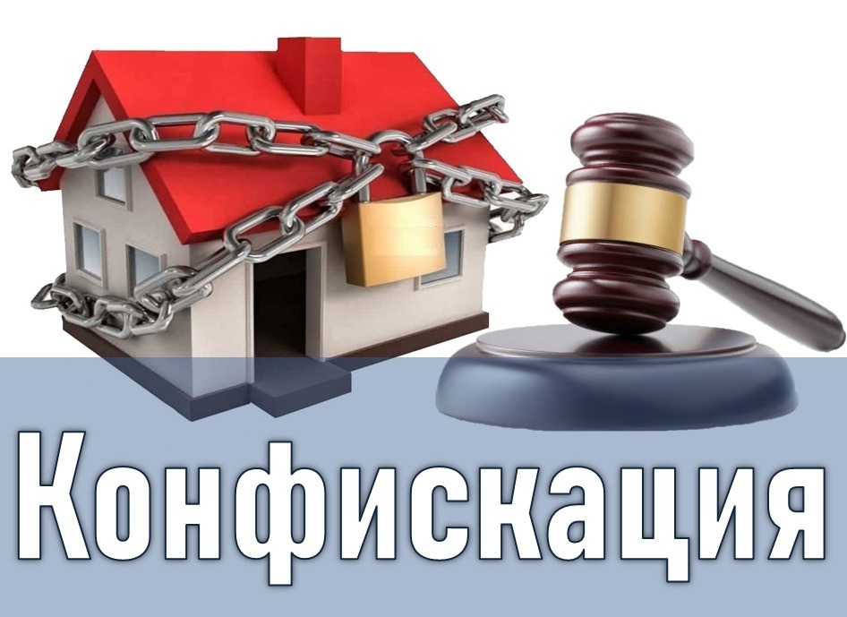 Конфискация имущества в уголовном праве презентация