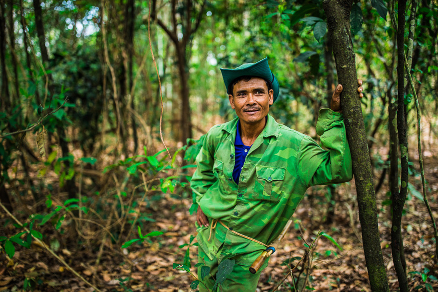 Первое этическое знакомство со слонами во Вьетнаме.