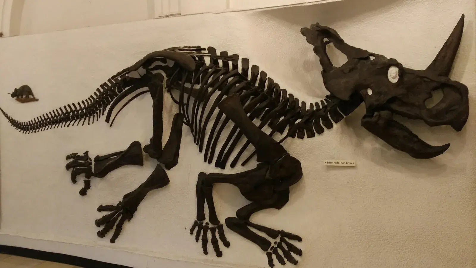 Ученые обнаружили контрольные признаки ряда болезней динозавров и обнаружили, что они очень похожи на те, которые поражают современных животных.