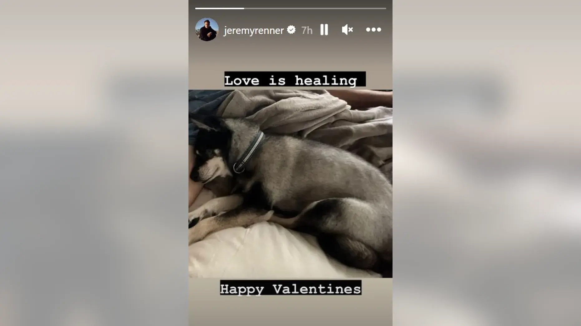 Джереми Реннер сообщил о своем выздоровлении и рассказал о "работе над собой" в недавнем интервью