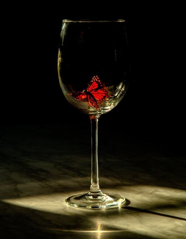 Почему я чувствую бабочек в животе, когда я на свидании?