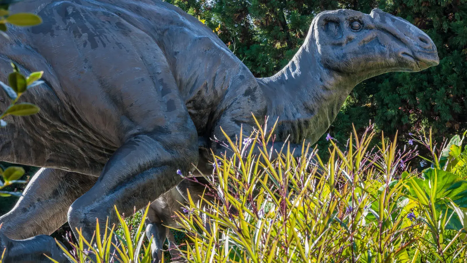 Ученые обнаружили контрольные признаки ряда болезней динозавров и обнаружили, что они очень похожи на те, которые поражают современных животных.