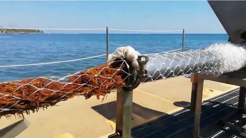 Индийский стартап может произвести революцию в морском земледелии с помощью своего «морского комбайна»