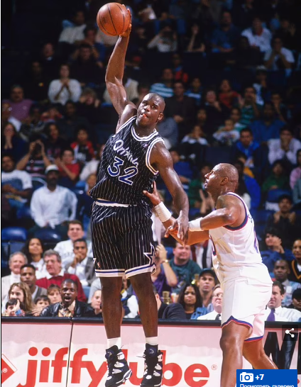 Вот это большая птица!