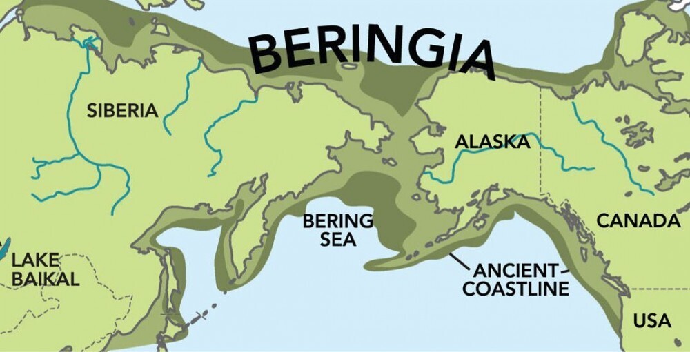 Ледниковый период. Берингия – затонувшая земля.