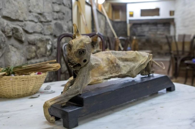 Первый в Шотландии музей колдовства откроется в Старом городе Эдинбурга