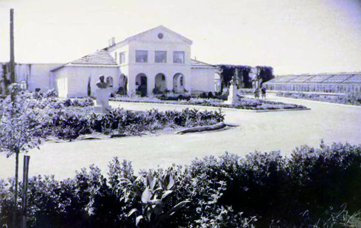 Как Сочи превратился из зелёного города, обеспечивающего себя уникальными продуктами, в агломерацию, живущую на привозных товарах