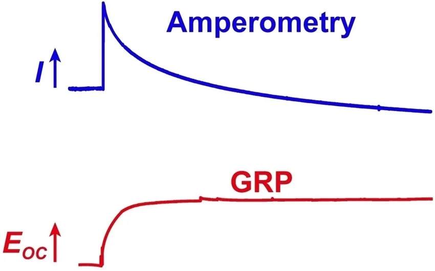 Электрохимический микро сенсор позволяет в реальном времени изучать динамику серотонина в мозге