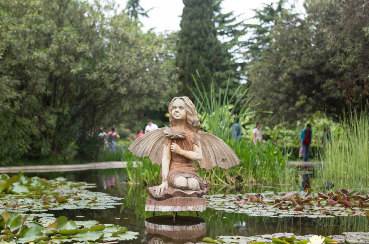 Как Сочи превратился из зелёного города, обеспечивающего себя уникальными продуктами, в агломерацию, живущую на привозных товарах