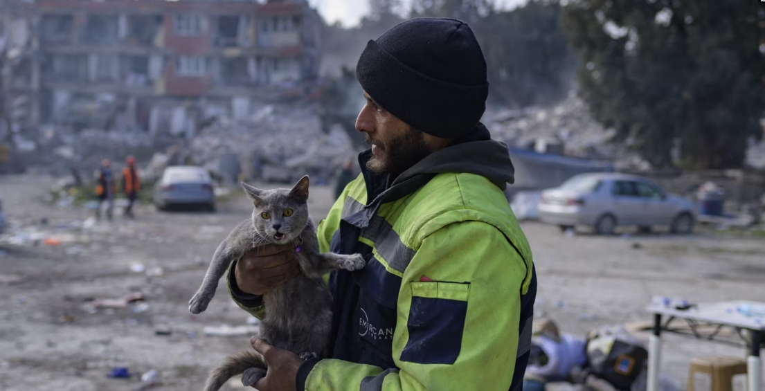 Число погибших в Турции и Сирии в результате землетрясения превысило 41 000 человек