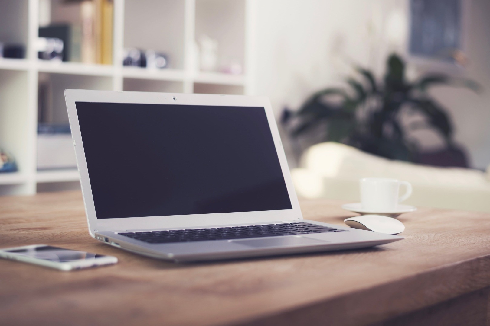 МВД рассказывает, как избежать мошенничества при покупках в Интернете Продавцы-мошенники используют ложные ссылки