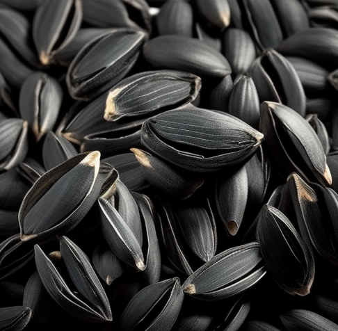 Семечки полезны для организма