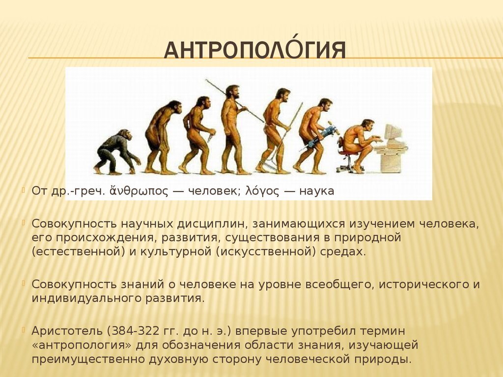 Эволюция современного человека презентация