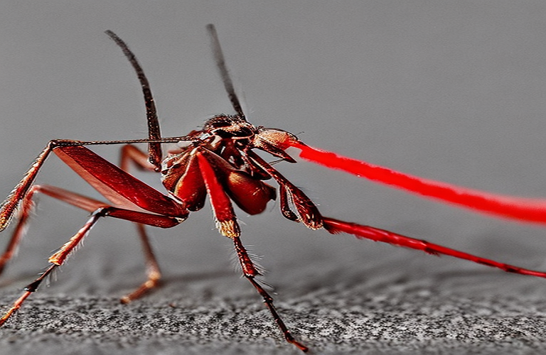 Этическая дилемма: должны ли мы избавиться от комаров?