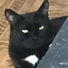 Никита, г. Москва