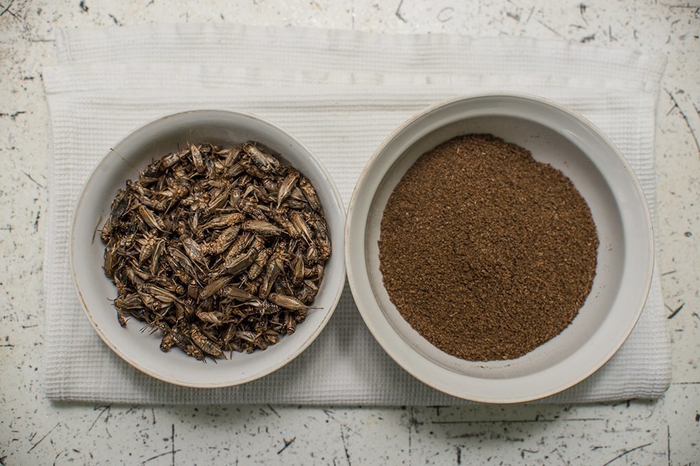 До сверчков добрались.